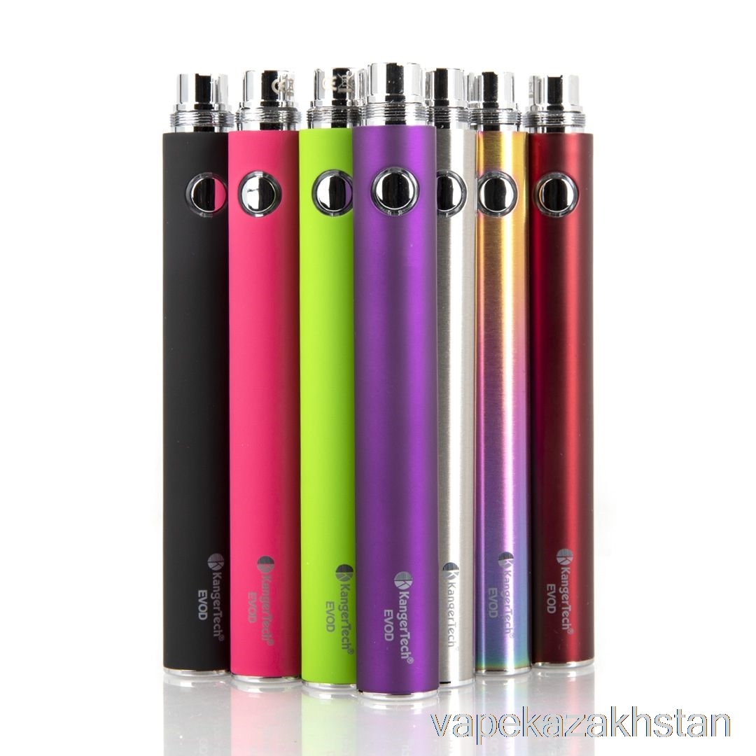 Vape Kazakhstan Kanger EVOD-VV 1300mAh / 1600mAh Battery [VV] 1300mAh - Stainless Steel